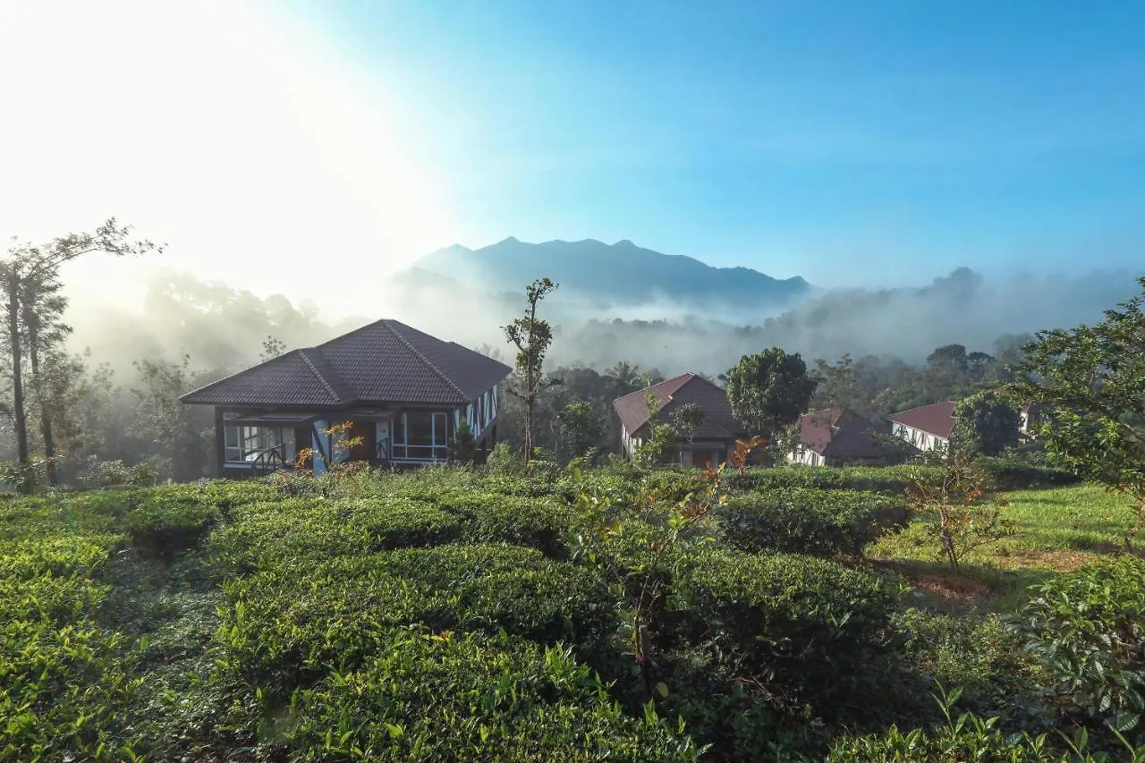 Jeevess Retreat Wayanad Hotel